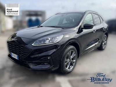 Ford Kuga 2.5 Plug In Hybrid 225 CV CVT 2WD ST-Line usato