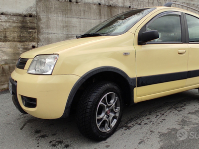Usato 2006 Fiat Panda 4x4 1.2 Benzin 60 CV (6.250 €)