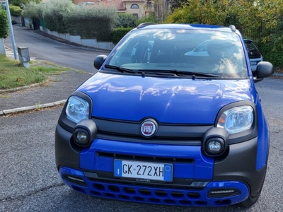 Usato 2019 Fiat Panda Cross LPG_Hybrid (12.000 €)