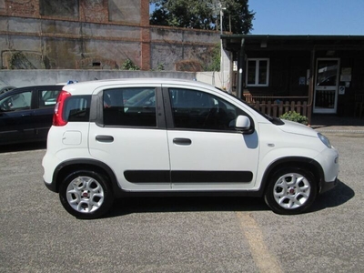 Usato 2022 Fiat Panda Cross 1.0 El_Hybrid 69 CV (13.500 €)