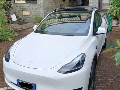 Usato 2022 Tesla Model Y El 208 CV (38.000 €)