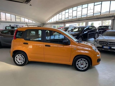 FIAT Panda 1.0 firefly hybrid s