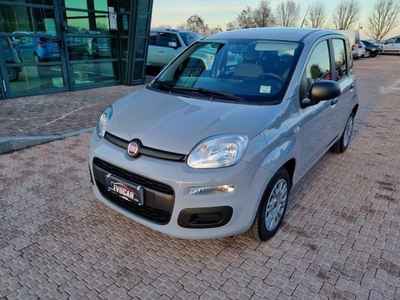 FIAT Panda 1.0 FireFly S&S Hybrid 5 p.esente bollo Elettrica/Benzina