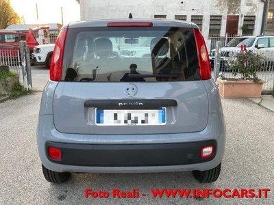 FIAT PANDA 1.2 69CV NEOPATENTATI - PRONTA CONSEGNA - POCHI KM