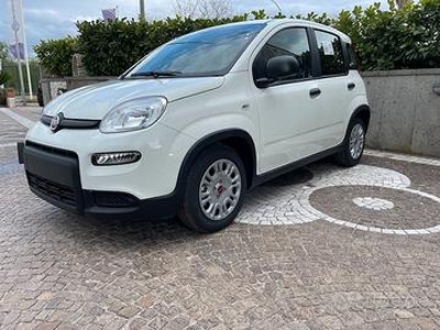 Fiat Panda Km0 FireFly TUA DA 140,00 EURO AL MESE
