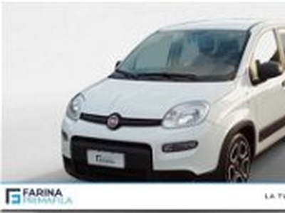 Fiat Panda 1.0 FireFly S&S Hybrid City Life del 2022 usata a Marcianise