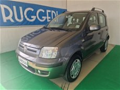 Fiat Panda 1.2 Active Natural Power del 2011 usata a Rimini