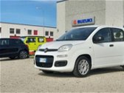 Fiat Panda 1.2 Easy Van 4 posti del 2018 usata a Oristano