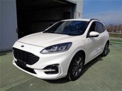 Ford Kuga 2.5 Plug In Hybrid 225 CV CVT 2WD ST-Line del 2020 usata a Castelfranco Veneto