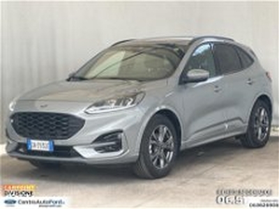 Ford Kuga Kuga 1.5 ecoboost ST-Line 2wd 150cv del 2023 usata a Albano Laziale