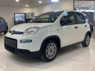 FIAT Panda My23 1.0 70cv Hybrid Panda