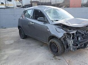 Lancia ypsilon incidentata