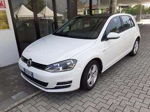 VOLKSWAGEN Golf Business 1.4 TGI DSG 5p. Highlin