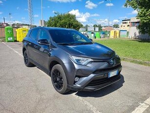 TOYOTA RAV-4 2.5 Hybrid 2WD Dynamic