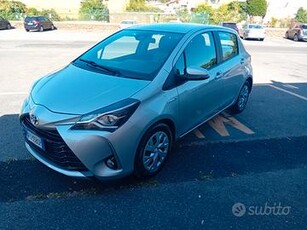 TOYOTA Yaris hybrid business