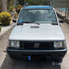 Usato 2002 Fiat Panda Benzin (1.500 €)