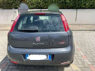 Usato 2015 Fiat Punto 1.4 LPG_Hybrid 77 CV (5.000 €)