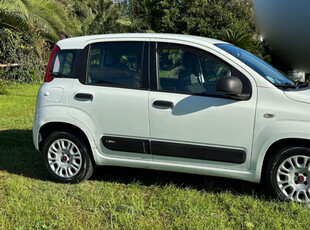 Usato 2017 Fiat Panda 1.2 Diesel 80 CV (8.500 €)