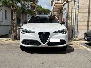 Usato 2018 Alfa Romeo Stelvio 2.0 Benzin 280 CV (32.500 €)