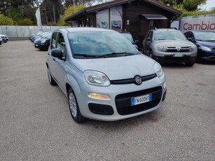 Usato 2018 Fiat Panda 1.2 LPG_Hybrid 69 CV (9.100 €)