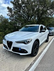 Usato 2019 Alfa Romeo Stelvio 2.1 Diesel 210 CV (34.900 €)