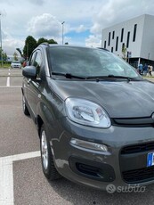 Usato 2019 Fiat Panda 1.2 LPG_Hybrid 69 CV (11.990 €)