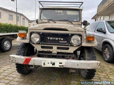 Usato 1979 Toyota Land Cruiser 4.0 Diesel (9.500 €)