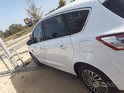 Usato 2019 Ford S-MAX 2.0 Diesel (18.000 €)