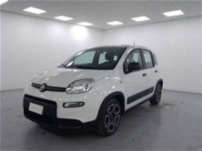 Fiat Panda 1.0 firefly hybrid s&s 70cv 5p.ti del 2022 usata a Cuneo