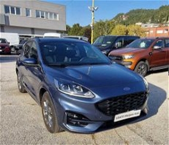 Ford Kuga 1.5 EcoBlue 120 CV aut. 2WD ST-Line Design del 2020 usata a Trento