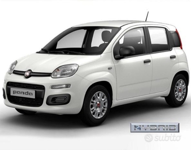 FIAT Panda 1.0 FireFly S&S Hybrid con Pack Comfo