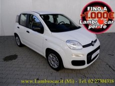 Fiat Panda 1.0 firefly hybrid s&s 70cv 5p.ti del 2022 usata a Cologno Monzese