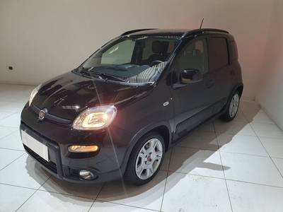 Fiat Panda 1.0 FireFly S&S Hybrid City Cross usato