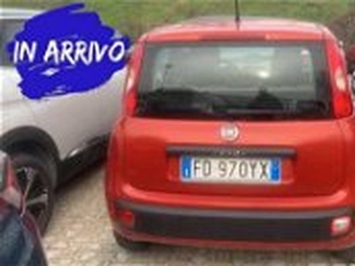 Fiat Panda 1.2 Easy del 2016 usata a Bracciano