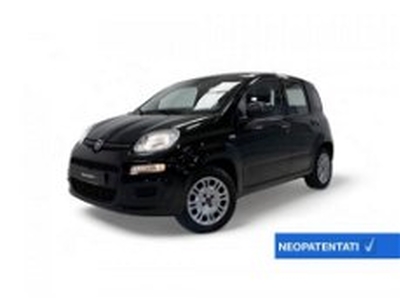 Fiat Panda 1.2 EasyPower Easy del 2019 usata a Modena