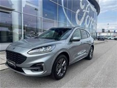 Ford Kuga 2.5 Plug In Hybrid 225 CV CVT 2WD ST-Line del 2022 usata a Fiume Veneto