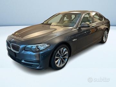 BMW Serie 5 520d Business auto