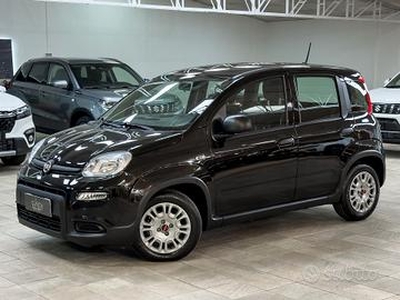 Fiat Panda 1.0 firefly hybrid *NEOPATENTATI* IVA E