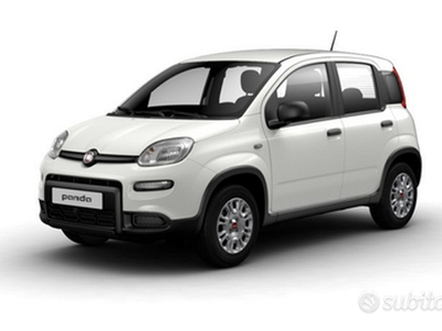 Fiat Panda 1.0 Hybrid KM0 PREZZO REALE