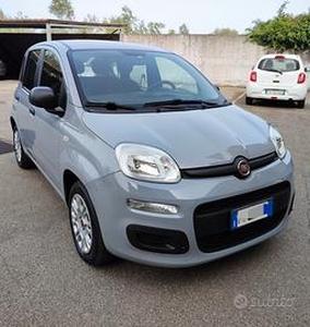 FIAT Panda 1.2 - DA VETRINA- 2019