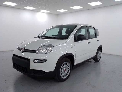 Fiat Panda 1.2 easypower gpl s&s 69cv da Azzurra .