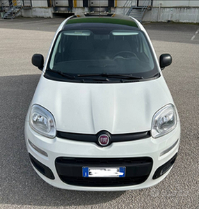 Fiat Panda 3° serie 1.2 Lounge benzina