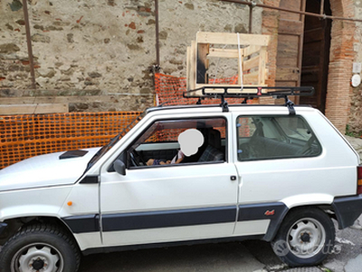 Fiat Panda 4x4 benzina/metano