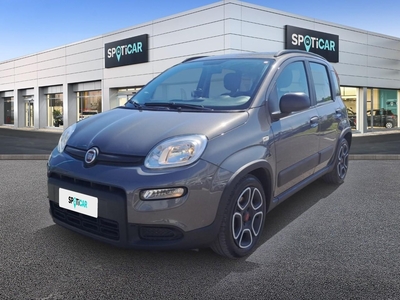 Fiat Panda 1.0 FireFly 70cv S&S Hybrid City Life GPL