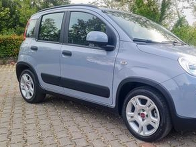 Fiat Panda 1.0 FireFly S&S Hybrid Red