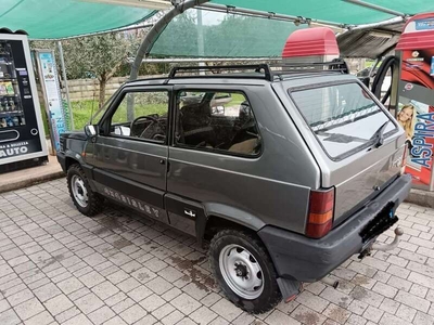 Usato 1988 Fiat Panda 4x4 1.0 Benzin 50 CV (6.900 €)
