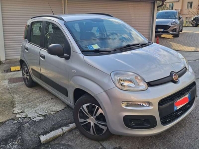 Usato 2014 Fiat Panda 1.2 Diesel 75 CV (6.500 €)