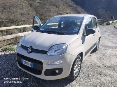 Usato 2014 Fiat Panda 1.2 LPG_Hybrid 69 CV (6.500 €)