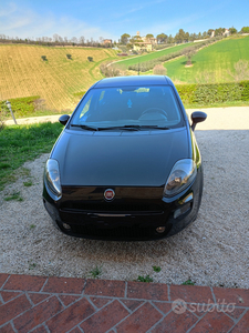 Usato 2015 Fiat Punto 1.4 CNG_Hybrid 77 CV (7.200 €)