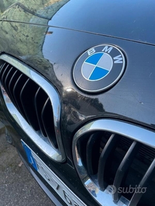 Usato 2016 BMW 116 1.5 Diesel 116 CV (12.000 €)